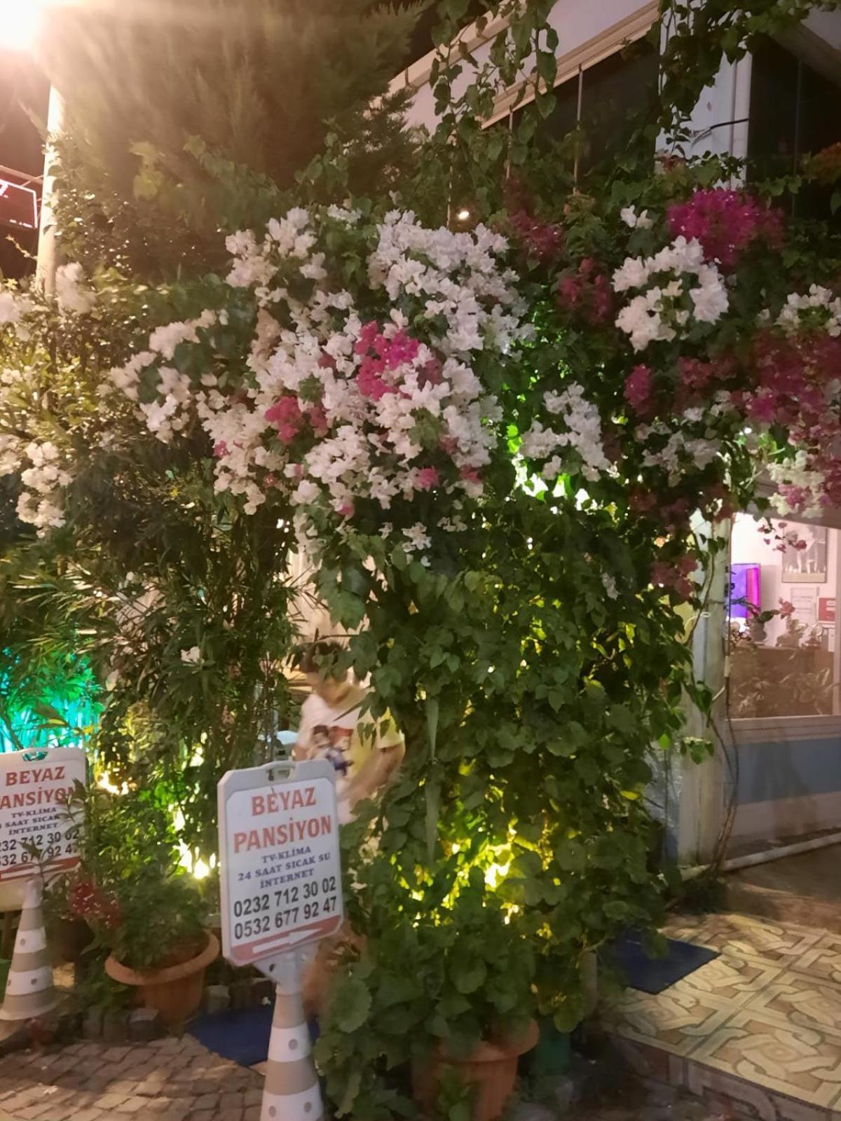Beyaz Apart Pansiyon Çeşme Zewnętrze zdjęcie